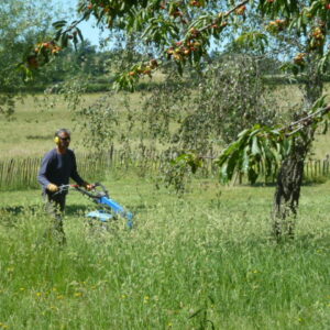 Zelfvertrouwen p1050484