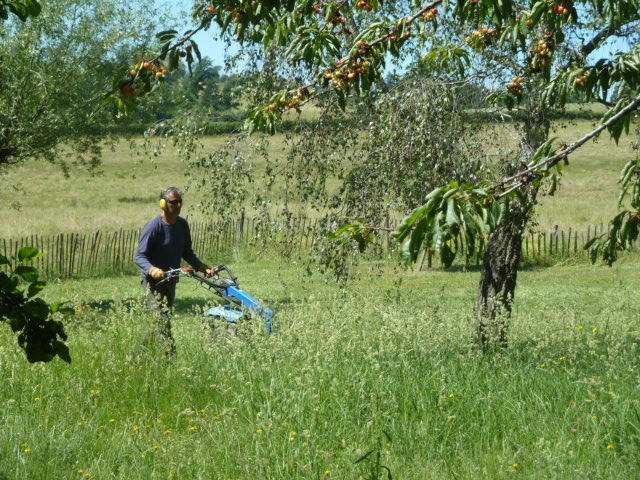 Zelfvertrouwen p1050484